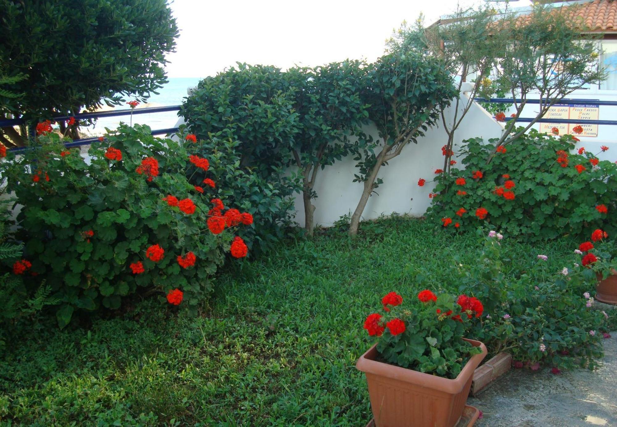 Apart Otel Philippos & Kardamena (Kos)