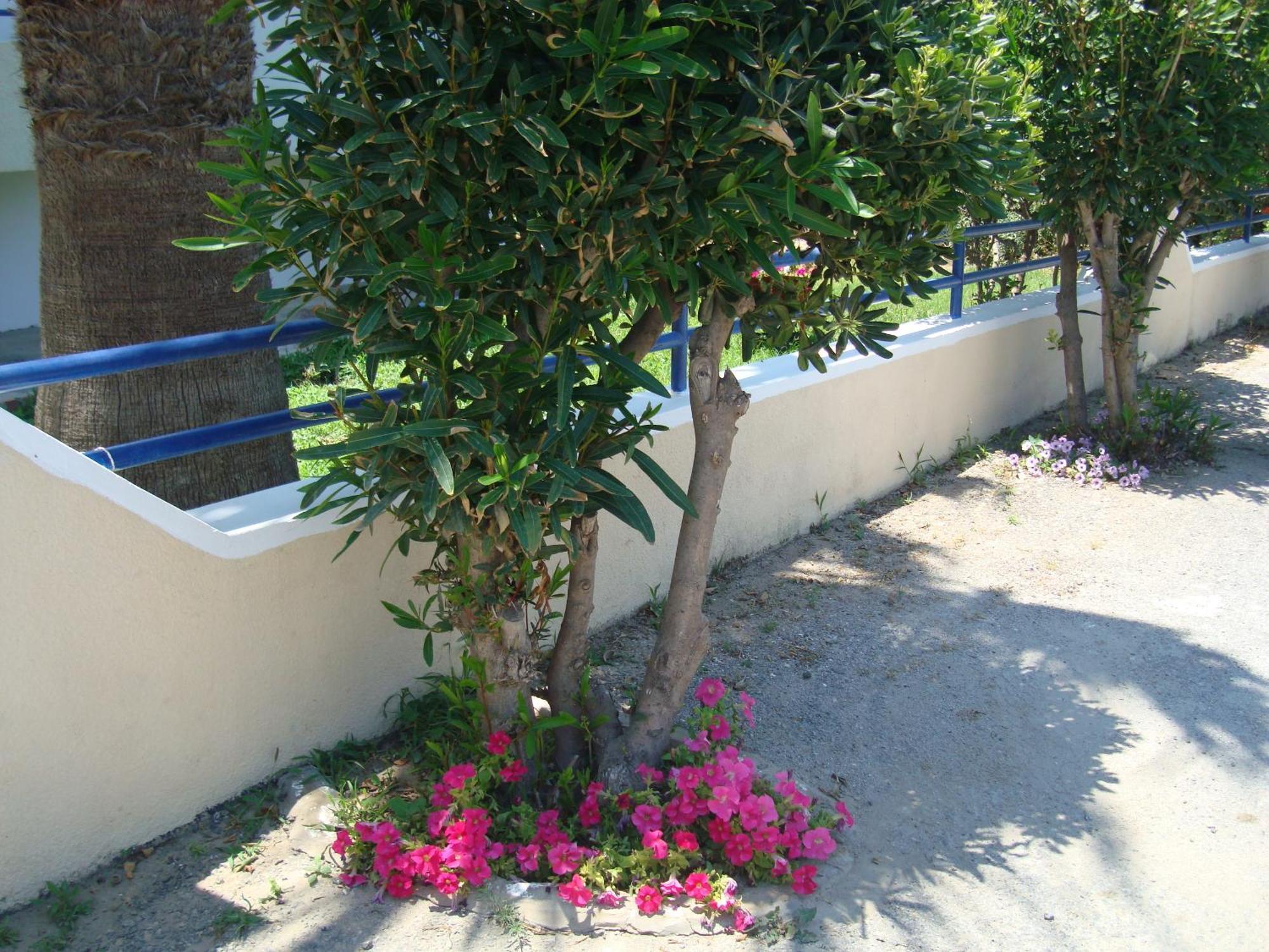 Apart Otel Philippos & 3*