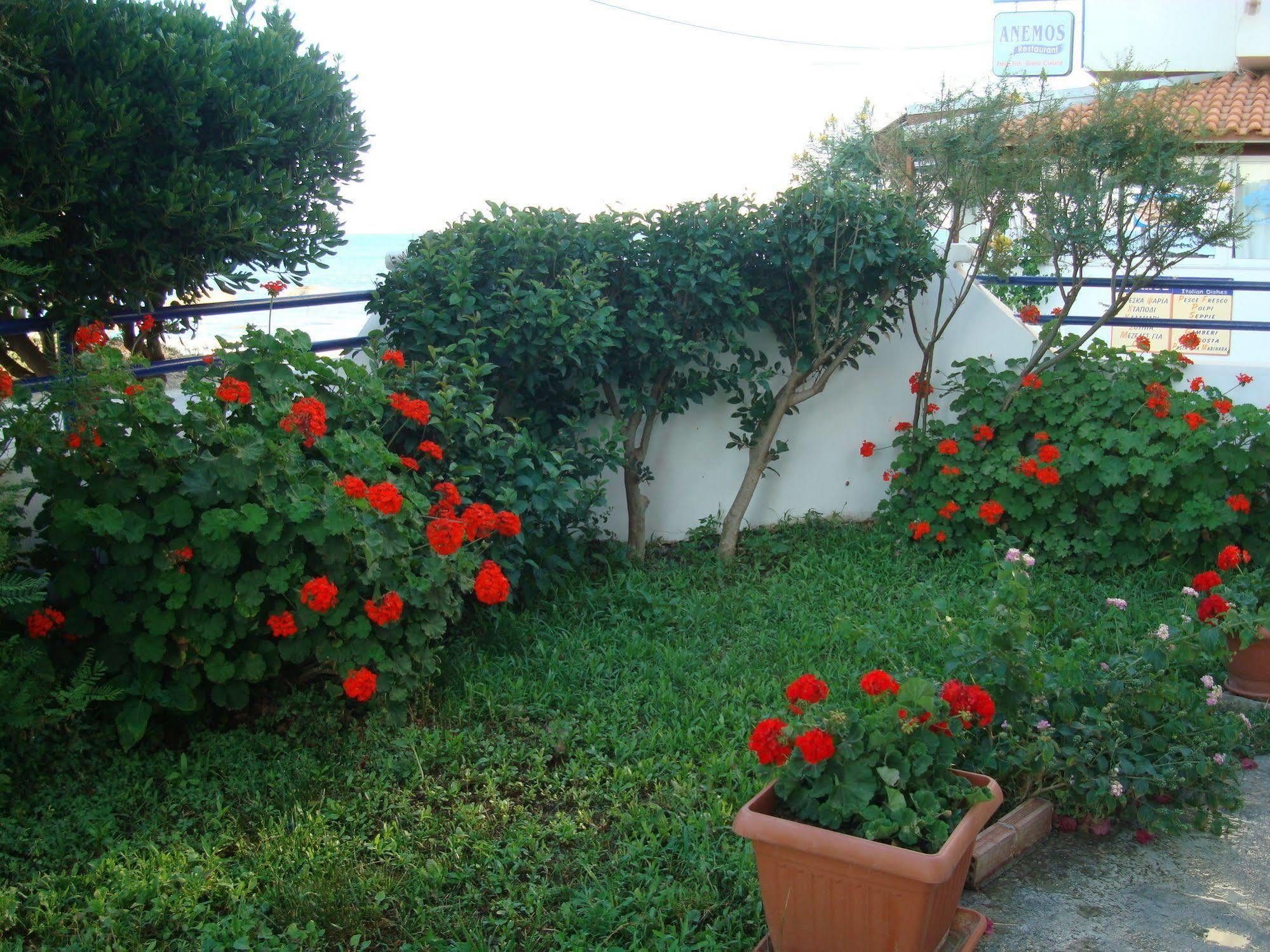 Philippos & Apart Otel